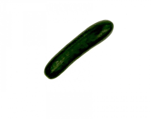 Cucumber