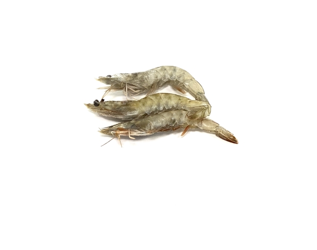 Head On White Shrimp 40/50