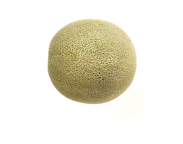 Cantaloupe