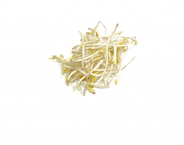 Bean Sprouts